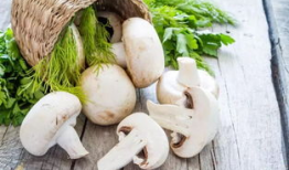 911吃瓜爆料蘑菇网,蘑菇网背后惊人内幕大揭秘